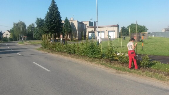 O úpravu keřů oddělujících areál hasičské zbrojnice od komunikace se postaral pan Laďa Kuchař a paní Alena Šubová