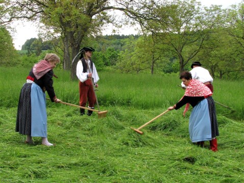 Utopeni v zeleni...