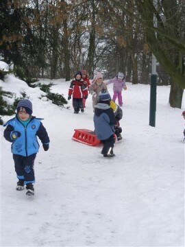 Berušky na sněhu