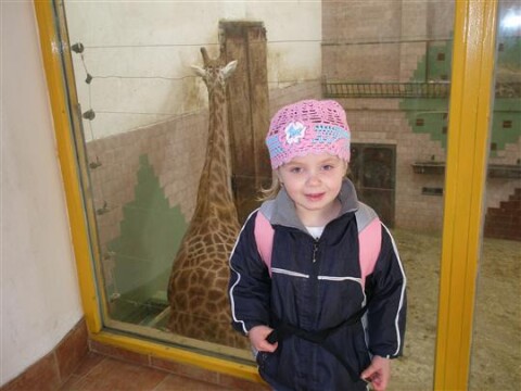 Návštěva ZOO