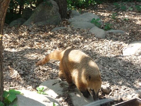 Výlet do ZOO 10