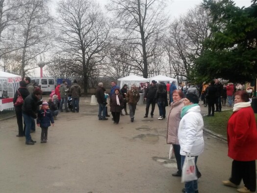 Rozsvícení vánočního stromu s jarmarkem 2014